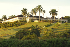 tryallclubjamaica0110