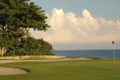 tryallclubjamaica0127