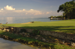 tryallclubjamaica0201