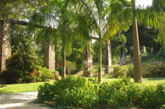 tryallclubjamaica0213