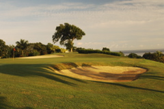 tryallclubjamaica0315