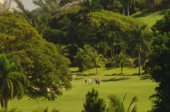 tryallclubjamaica0539